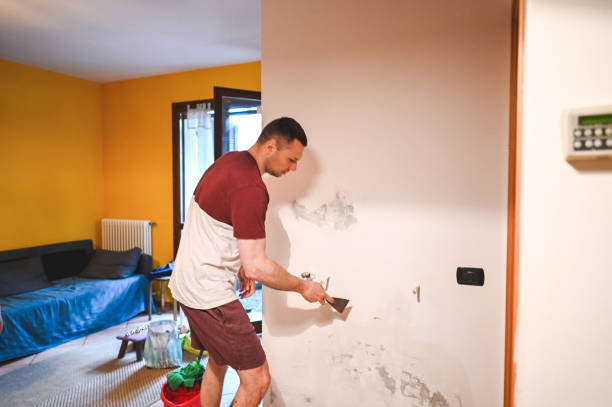 Best Affordable Mold Removal  in Mosheim, TN